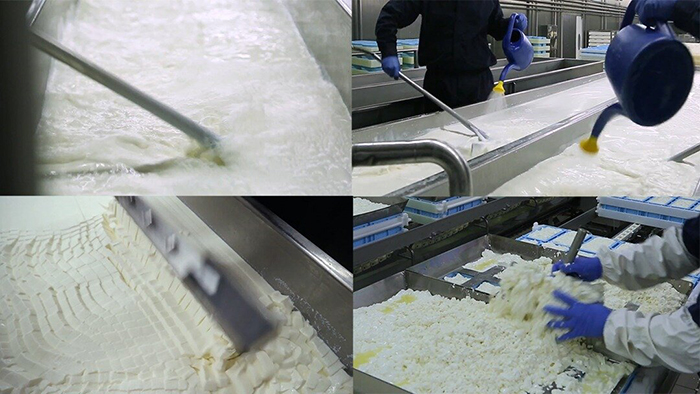 Feta maufacturing