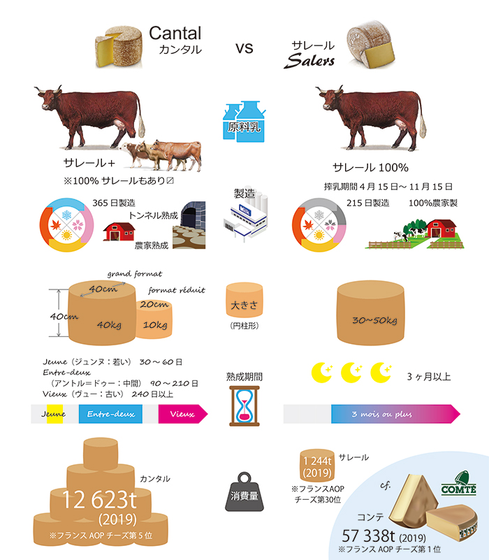 Cantal vs Salers