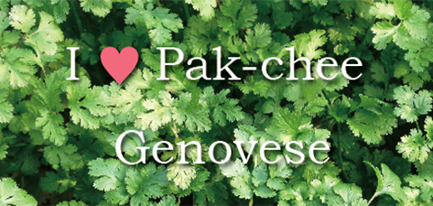 I Love Pak-chee Genovese